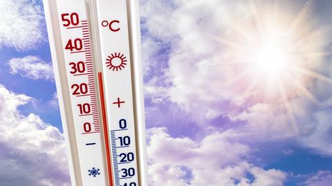 Prognozowana temperatura w kolejnych dniach