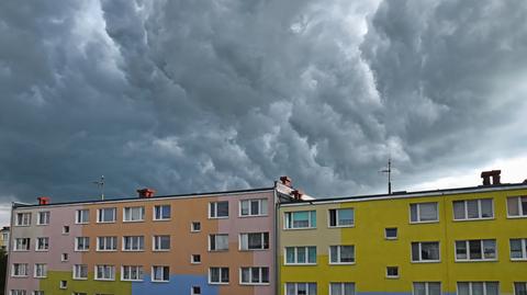 Prognozowana temperatura w kolejnych dniach