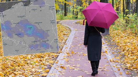 Prognozowana temperatura na kolejne dni