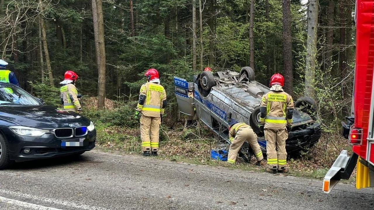 Przed radiowóz wybiegła sarna. Dwaj policjanci w szpitalu