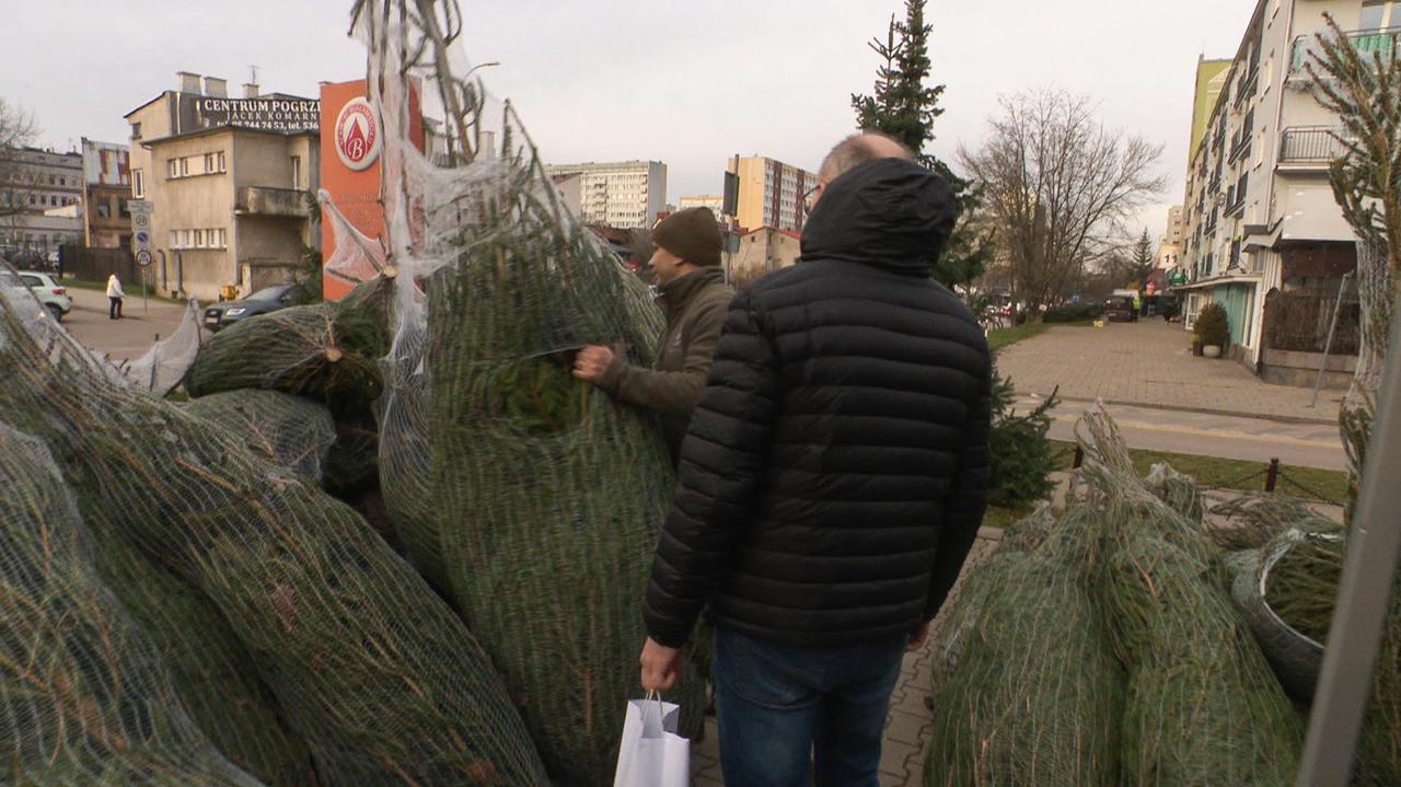 "Choinka dla życia". Leśnicy i krwiodawcy połączyli siły