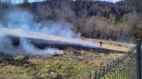 Policjanci ugasili pożar łąki 