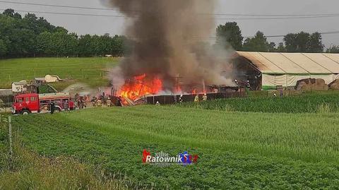 Jedna ofiara pożaru w stadninie koni w Tomaszowicach
