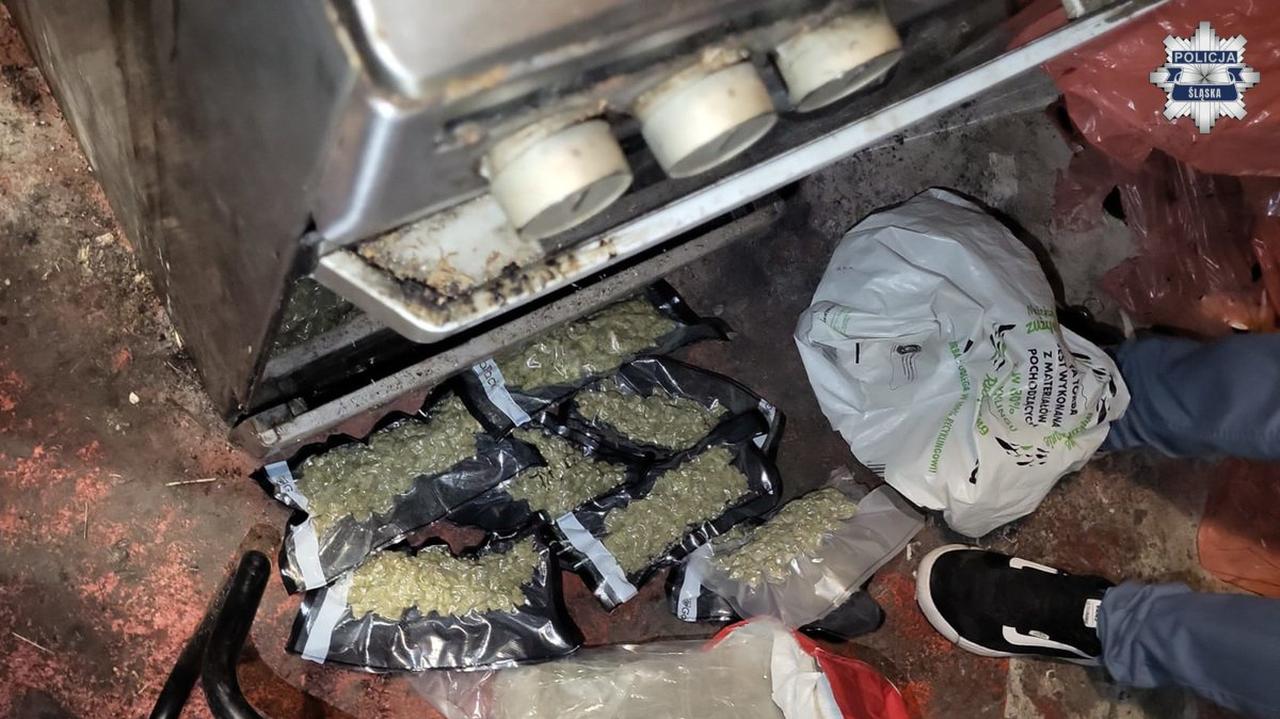 Dziewięciu zatrzymanych. Za przemyt marihuany z USA do Polski