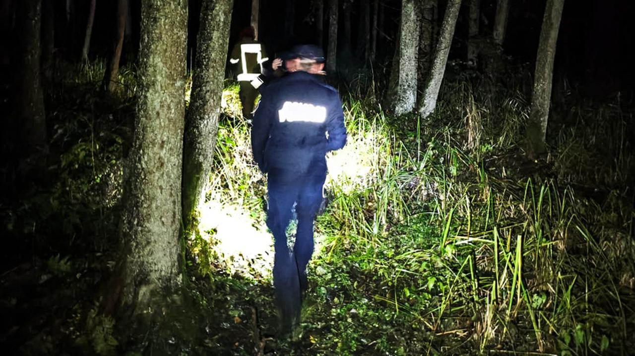 Zgubił się w lesie i błądził 10 godzin. Zobaczył nad głową drona