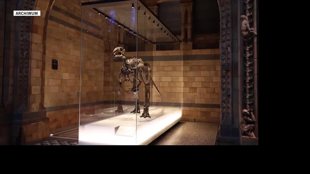 Natural Museum