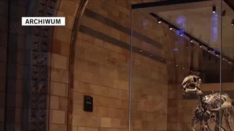 Natural Museum