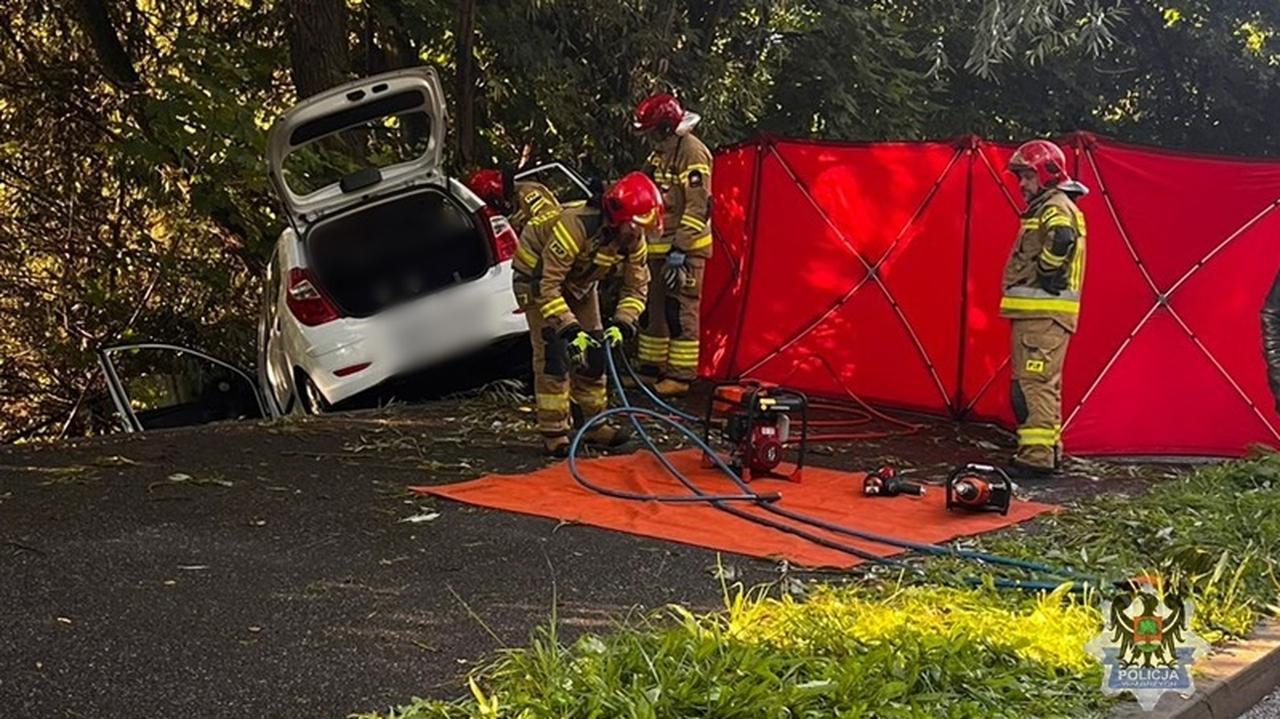 Auto uderzyło w drzewo. Jedna osoba nie żyje