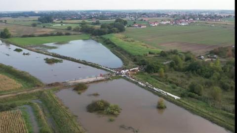 Umacnianie wałów nad rzeką Oławą w Stanowicach. Zdjęcia z drona 18.09.24