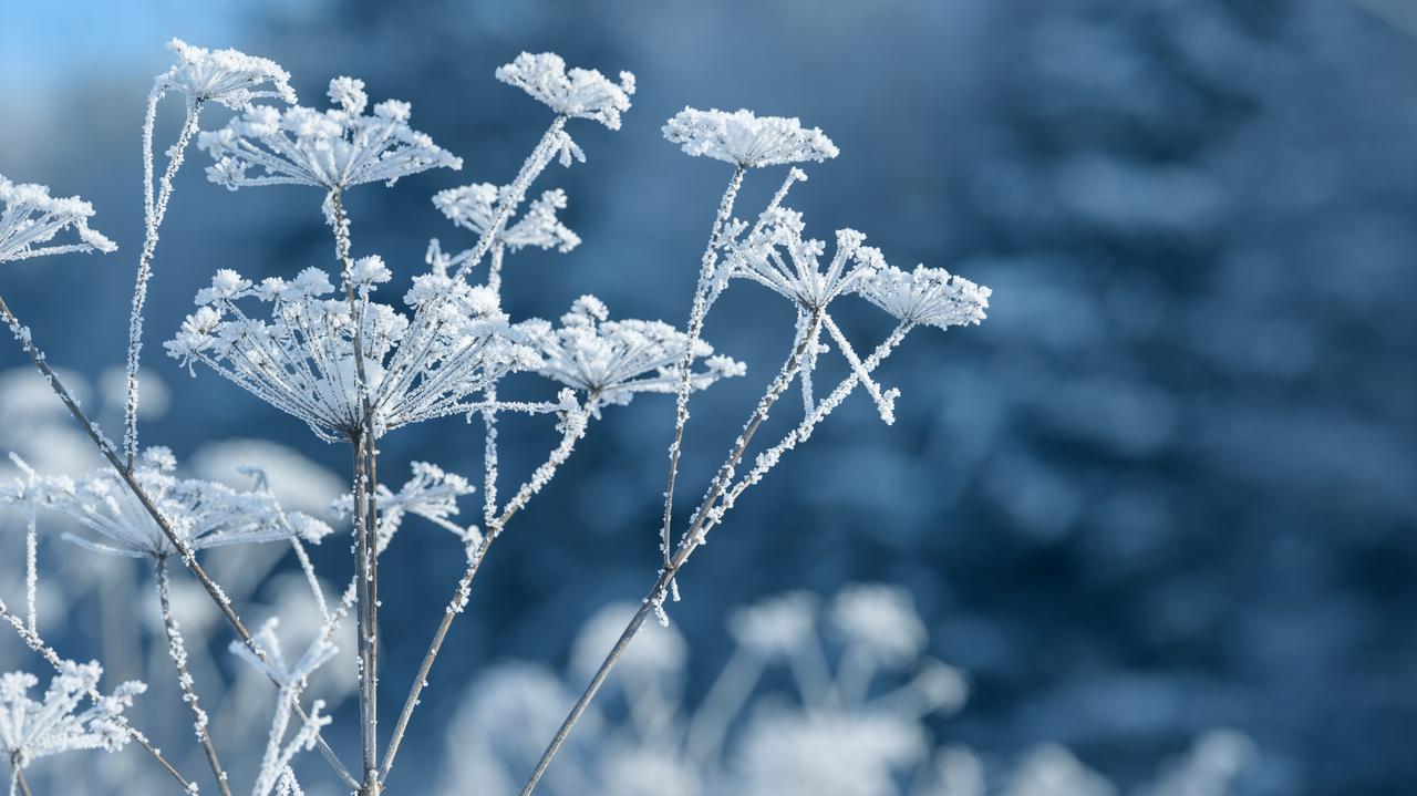 Pogoda. Cyklon Nils i duża zmiana na termometrach
