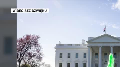 zielona woda