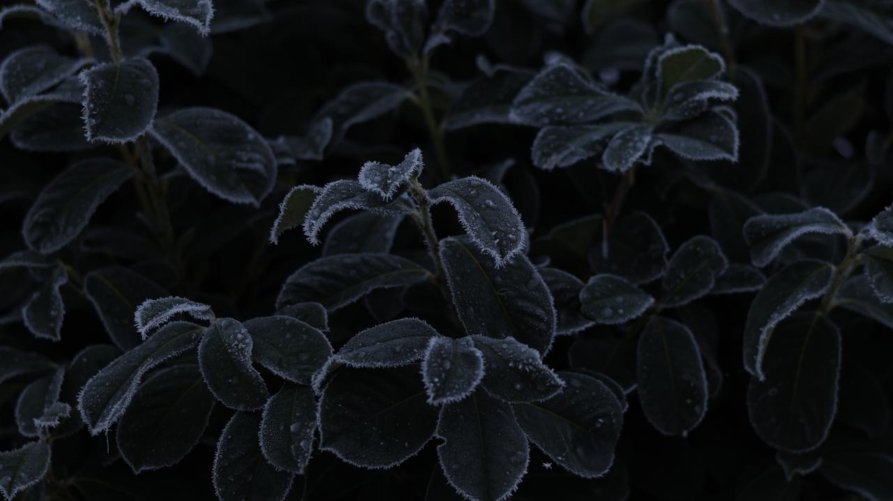 Wiele regionów objętych ostrzeżeniami IMGW