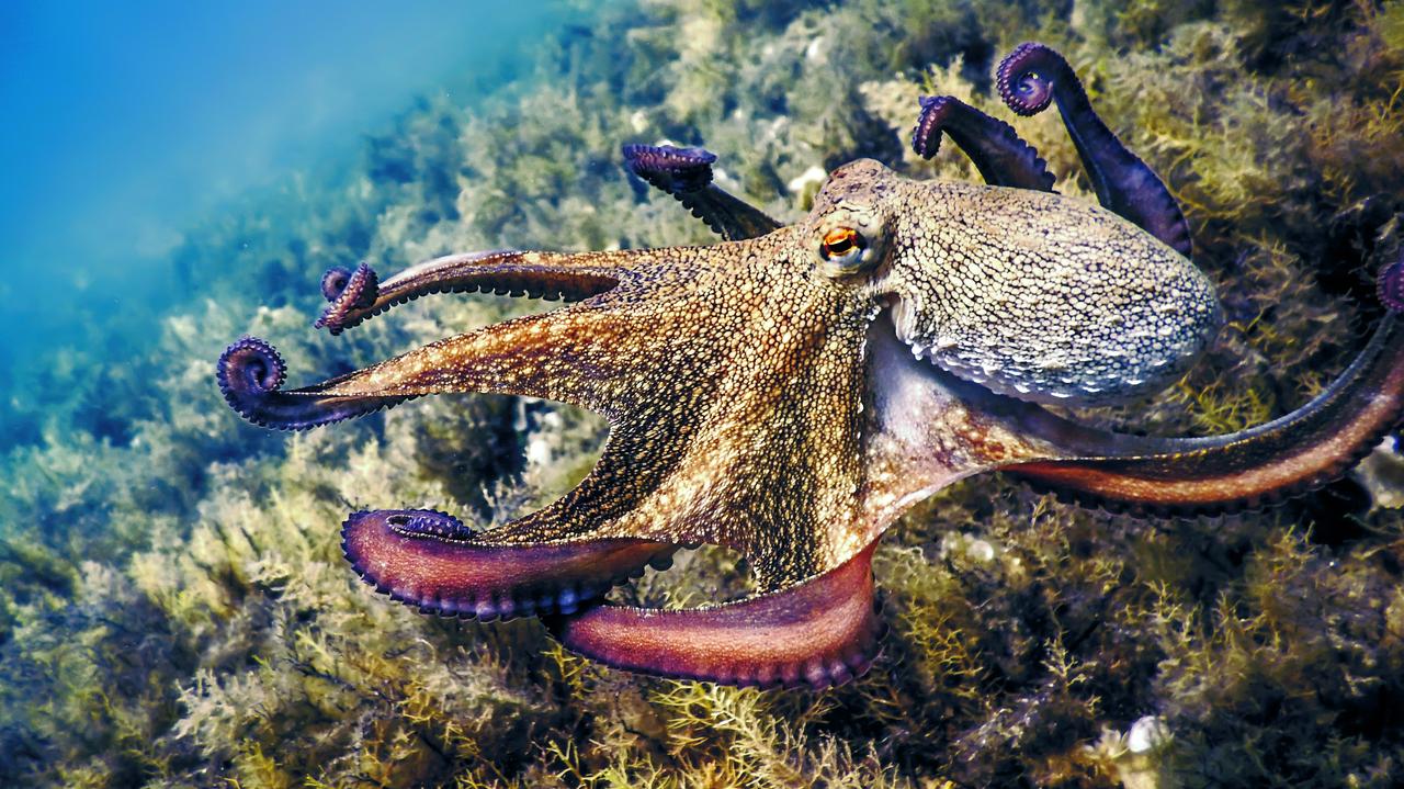 Od dekad nie było ich tu tak wiele. 2025 został ich rokiem