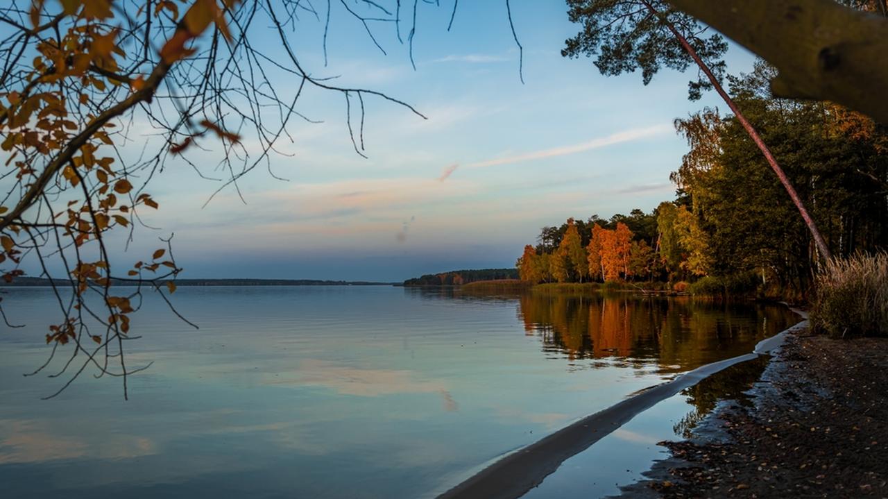 Pogoda na dziś - piątek, 31.10. Pogoda dopisze, na termometrach do 14 stopni Celsjusza
