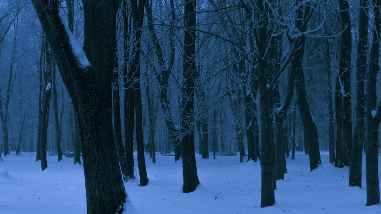 Pogoda na jutro - poniedziałek, 9.02. Noc z kilkunastoma stopniami na minusie