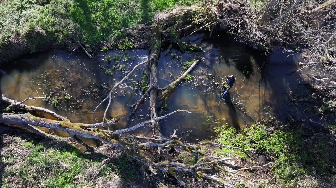 West Pomeranian river Gowienica drying up — experts raise alarm