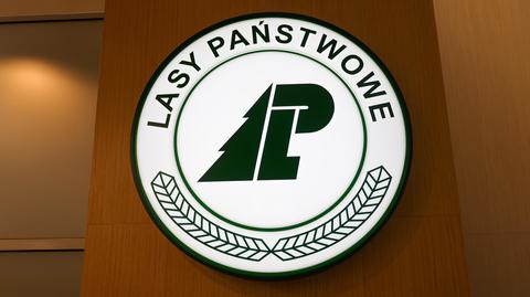 Lasy Państwowe (zdjęcie ilustracyjne)