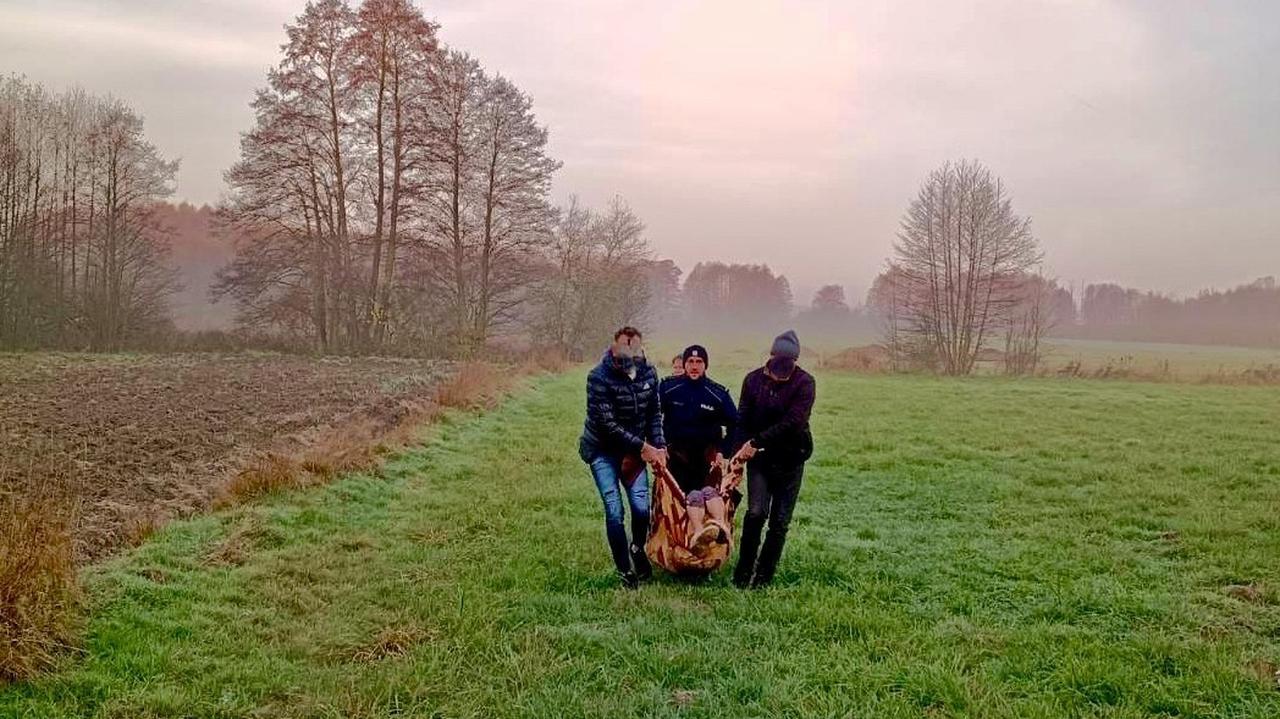 82-latka wyszła z domu, odnaleźli ją na bagnach wycieńczoną i zmarzniętą