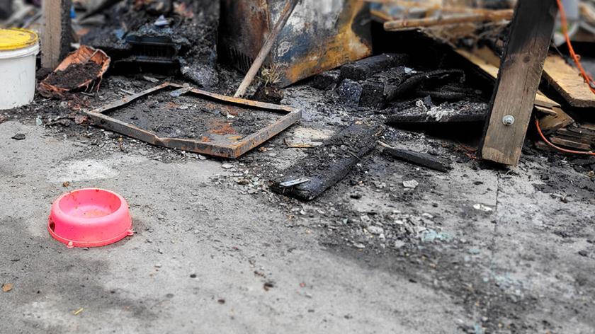 Pożar przytuliska dla bezdomnych zwierząt w Harbutowicach. Spłonął magazyn karmy