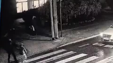 205-265664