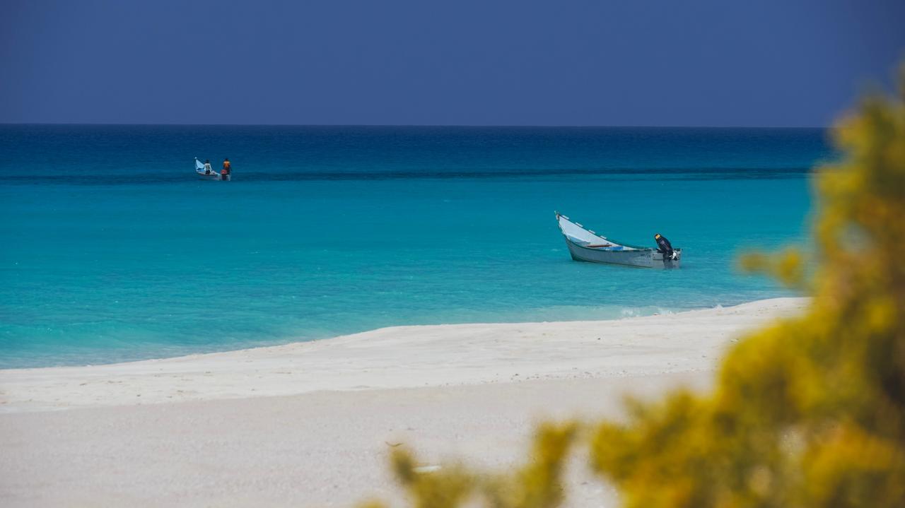 Ewakuacja Polaków z jemeńskiej wyspy. Ambasada zapowiada kolejne loty