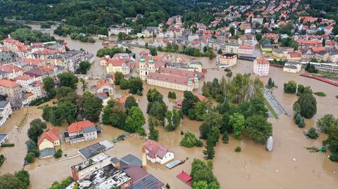 Żołnierze uratowali psa z powodzi