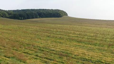 Państwowe grunty w rękach państwa Kaczmarczyków