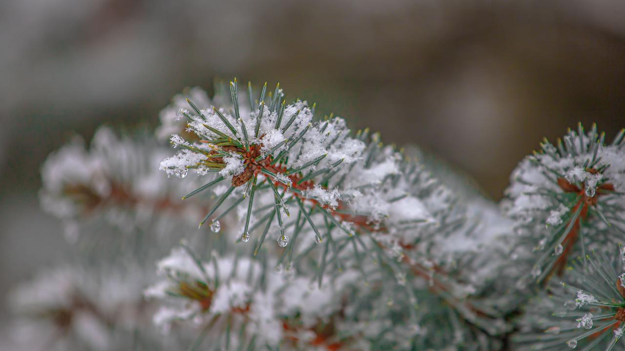 Pogoda na dziś - środa, 04.02. W części kraju sypnie śniegiem