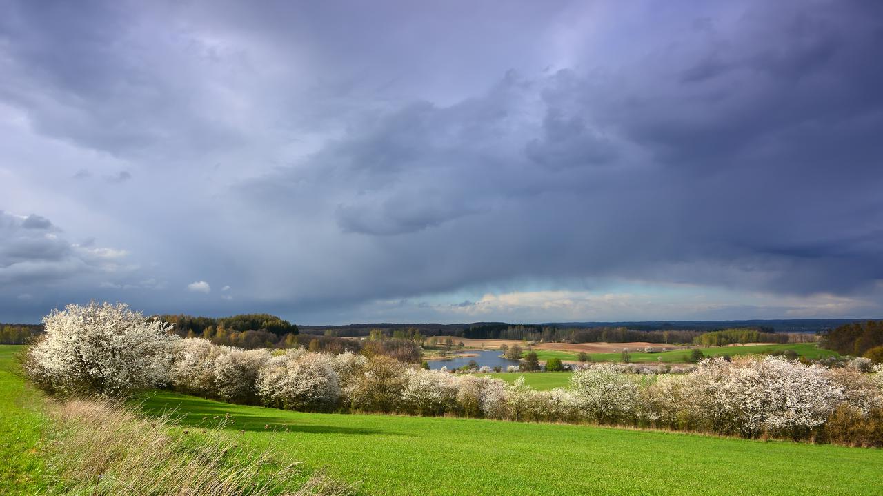 Burze i upały. Gdzie należy uważać w najbliższe dni