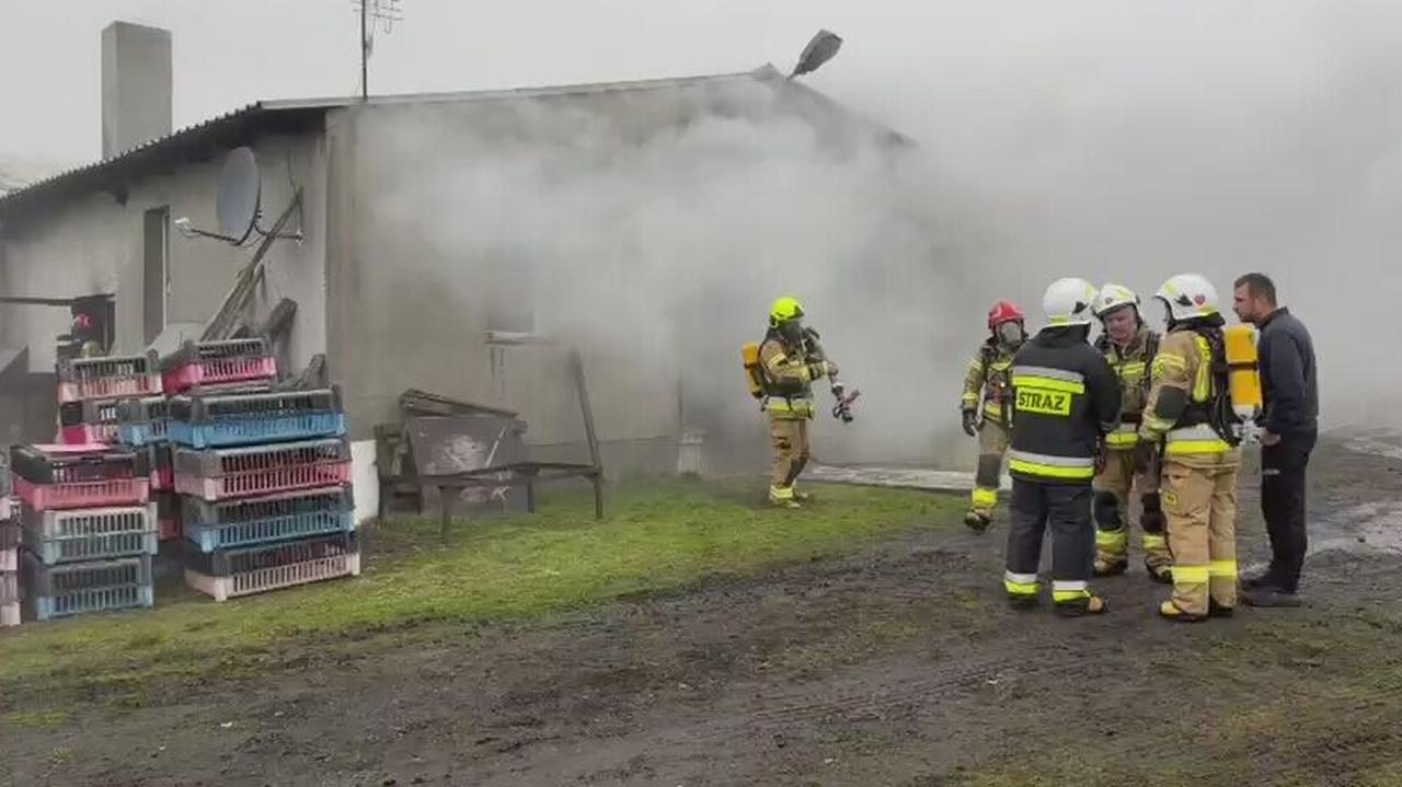 Pożar kurnika, spłonęło 23 tysiące kurczaków