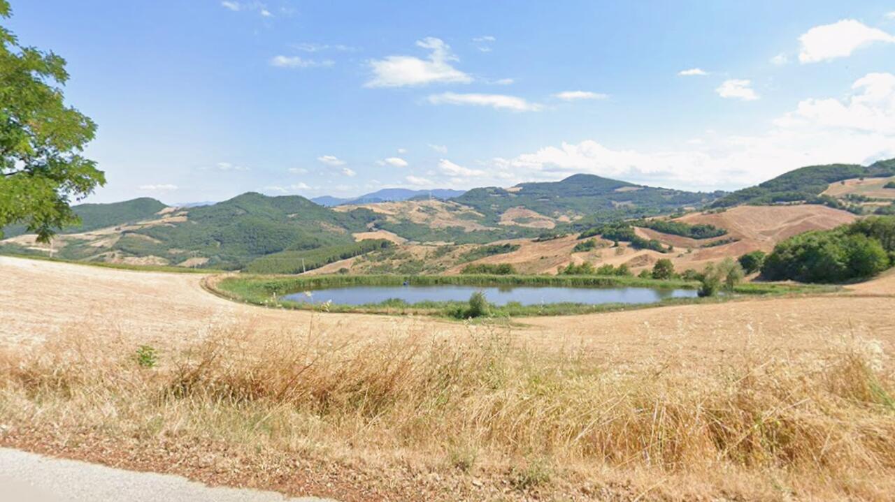 Zażalenie "rodziny z lasu" oddalone. Sąd odebrał im troje dzieci
