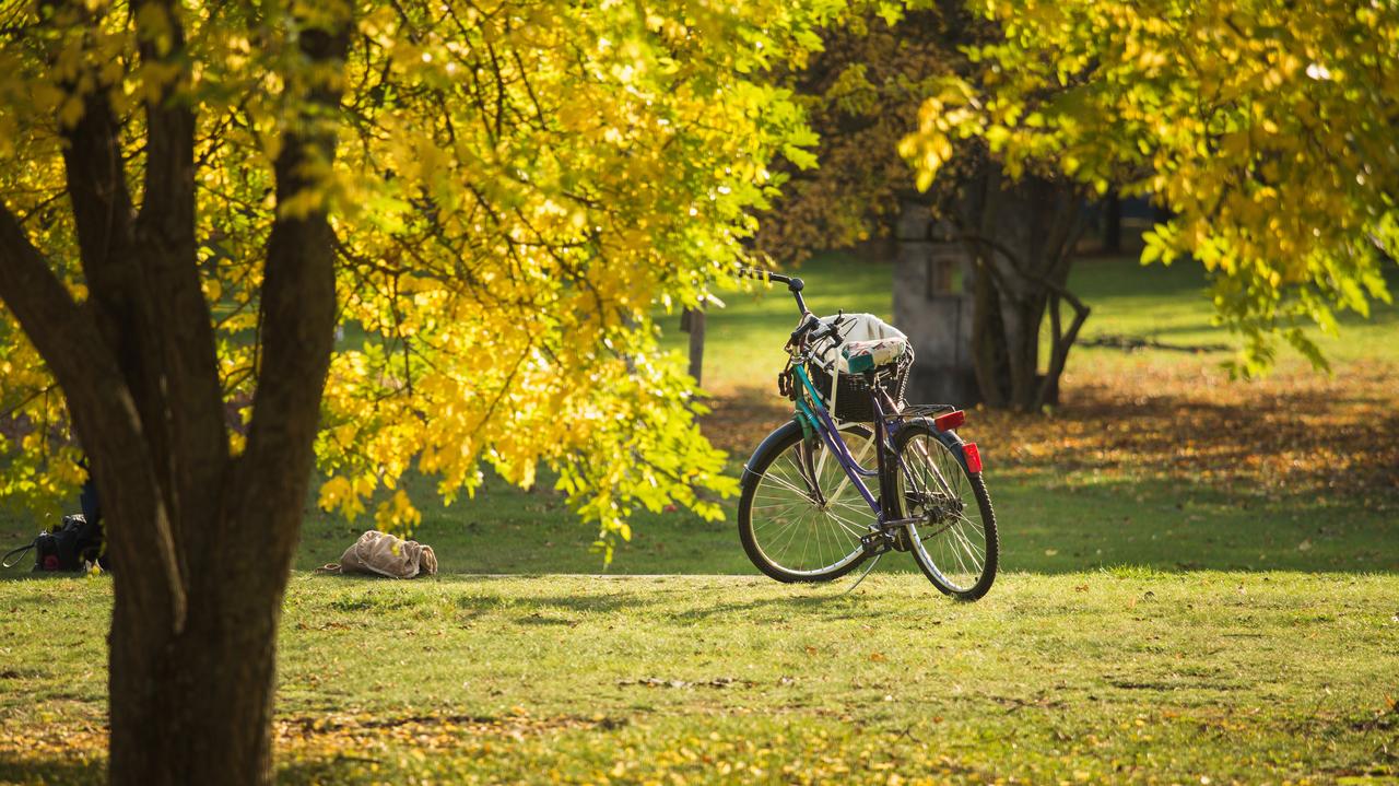 Pogoda. Blokada rexa. Rzadki układ będzie rządził aurą w Polsce