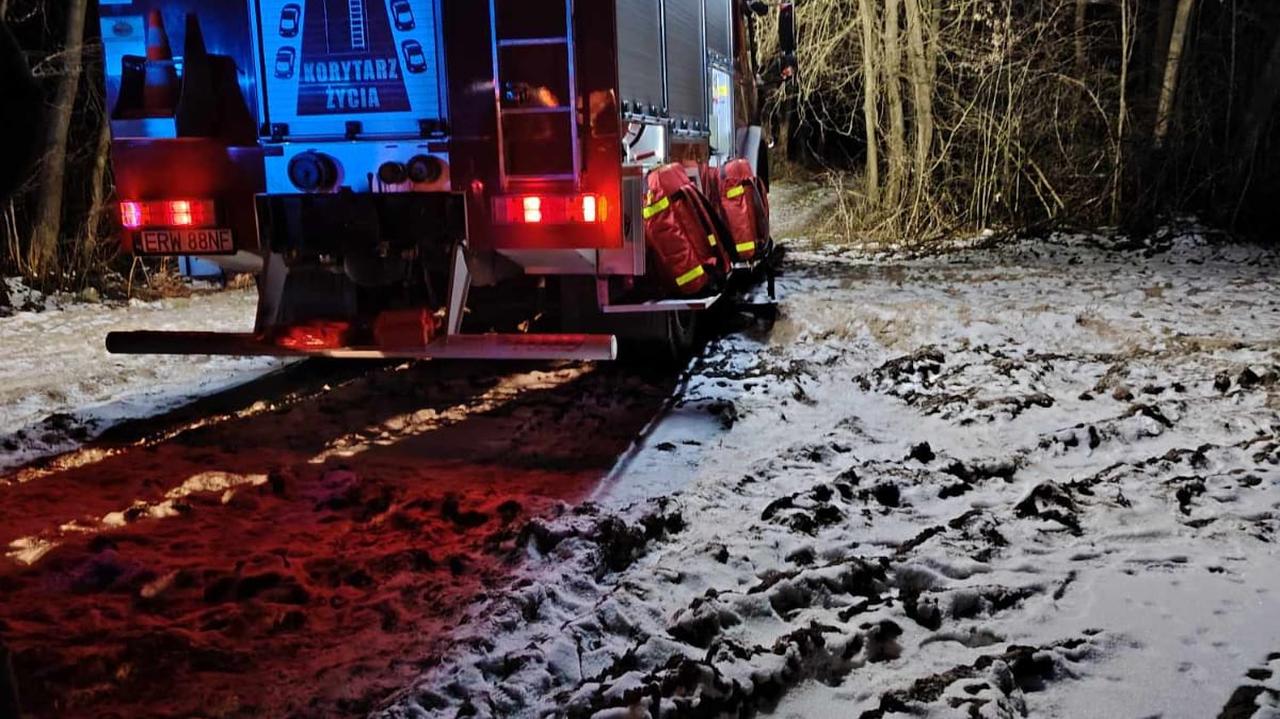 Tragedia podczas wycinki drzew. Nie żyją dwaj mężczyźni