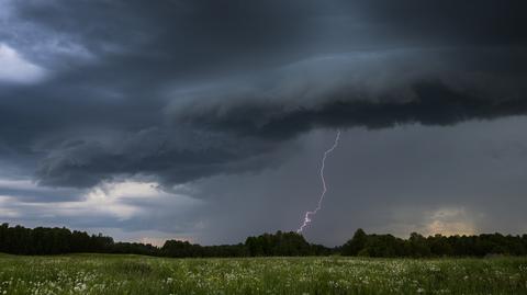 Prognozowana temperatura na kolejne dni