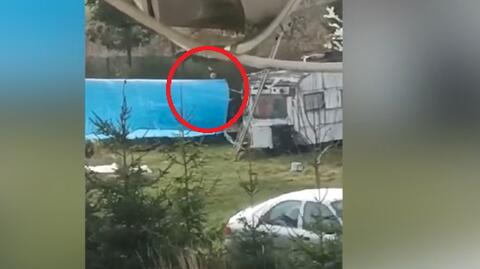 Miał zakatować psa nożem. Granowo