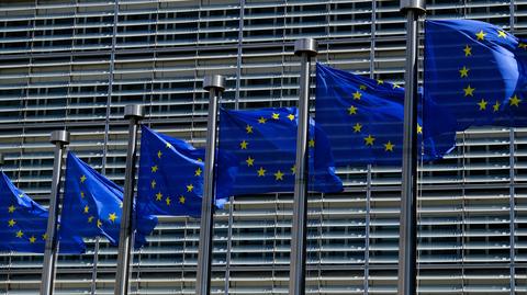 Sikorski: omijanie europejskich sankcji jest przestępstwem