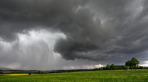 Prognozowana temperatura w kolejnych dniach