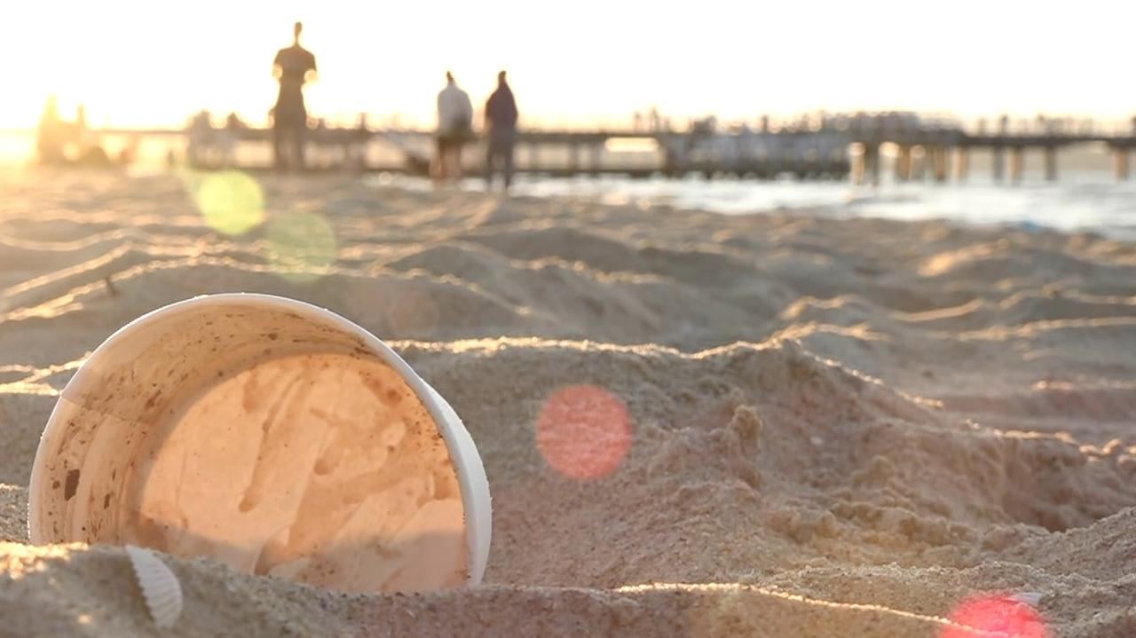 Można sprzątać plaże i mieć wakacje za darmo. Wyjątkowa oferta Fundacji Bałtyk 2.0