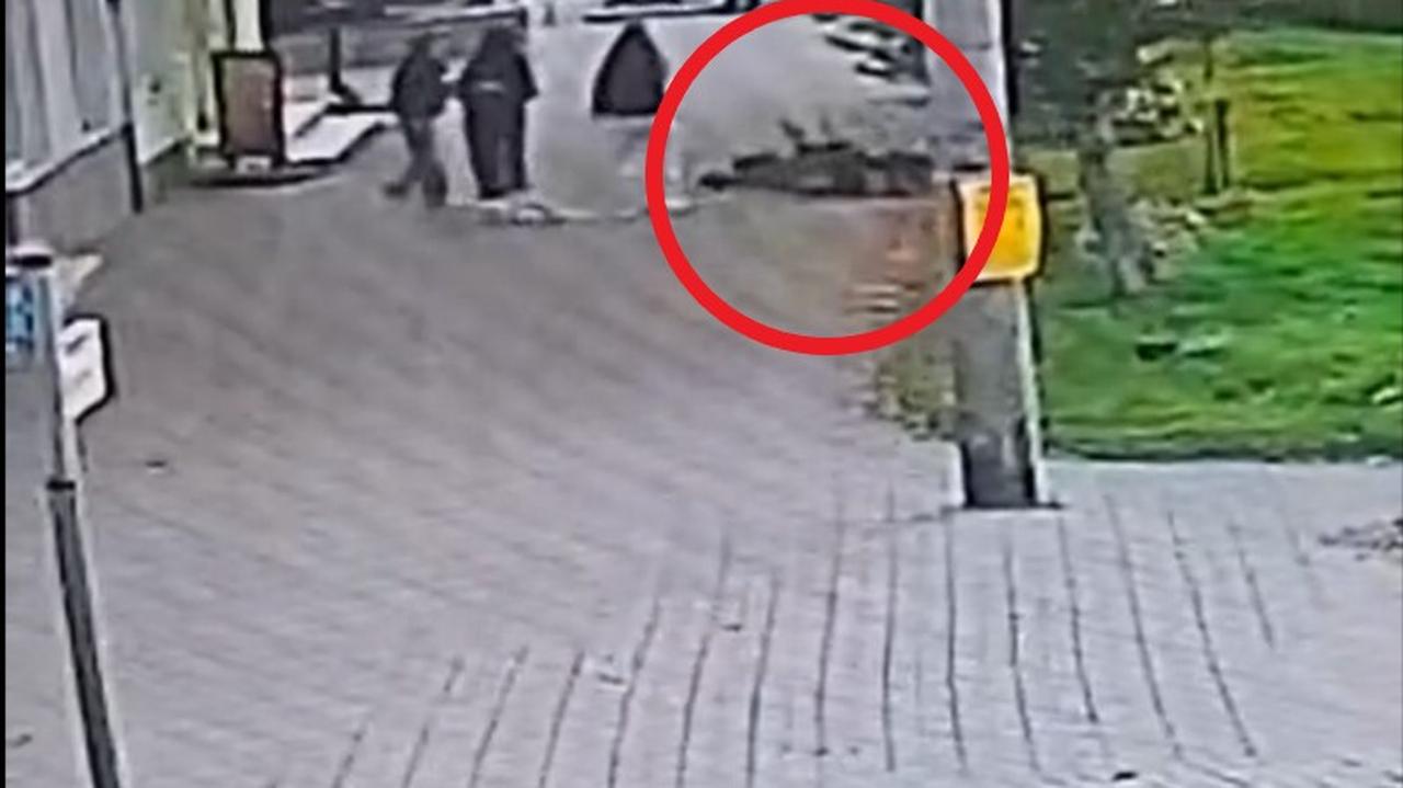 Zderzenie nastolatków na hulajnogach. Nagranie