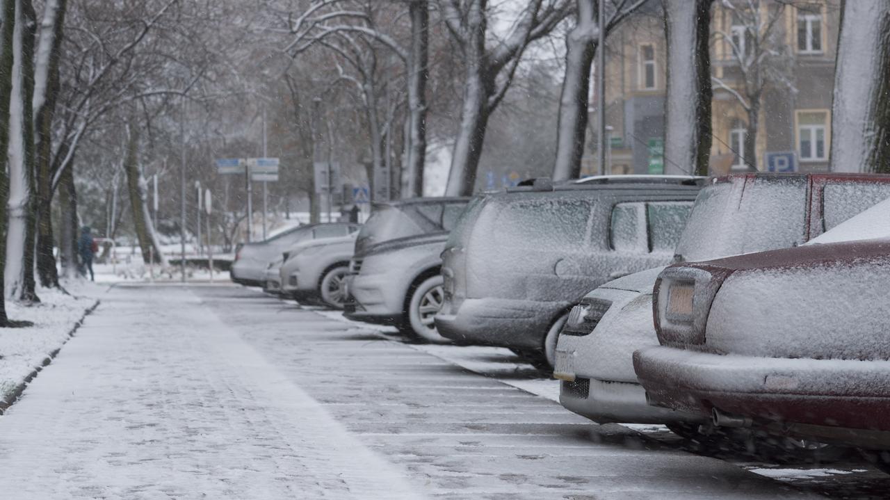 "Jeden zimny poranek wystarczy". Ekspertka ostrzega