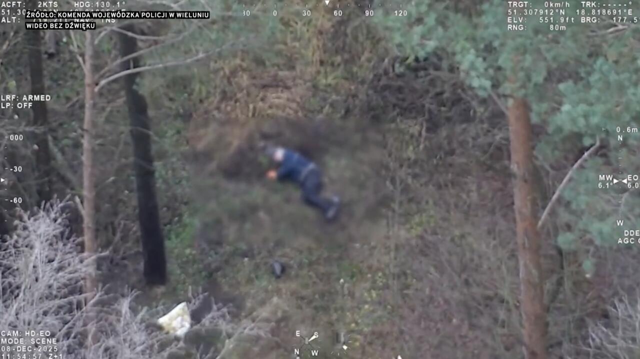 Wyszedł na spacer, noc musiał spędzić w lesie