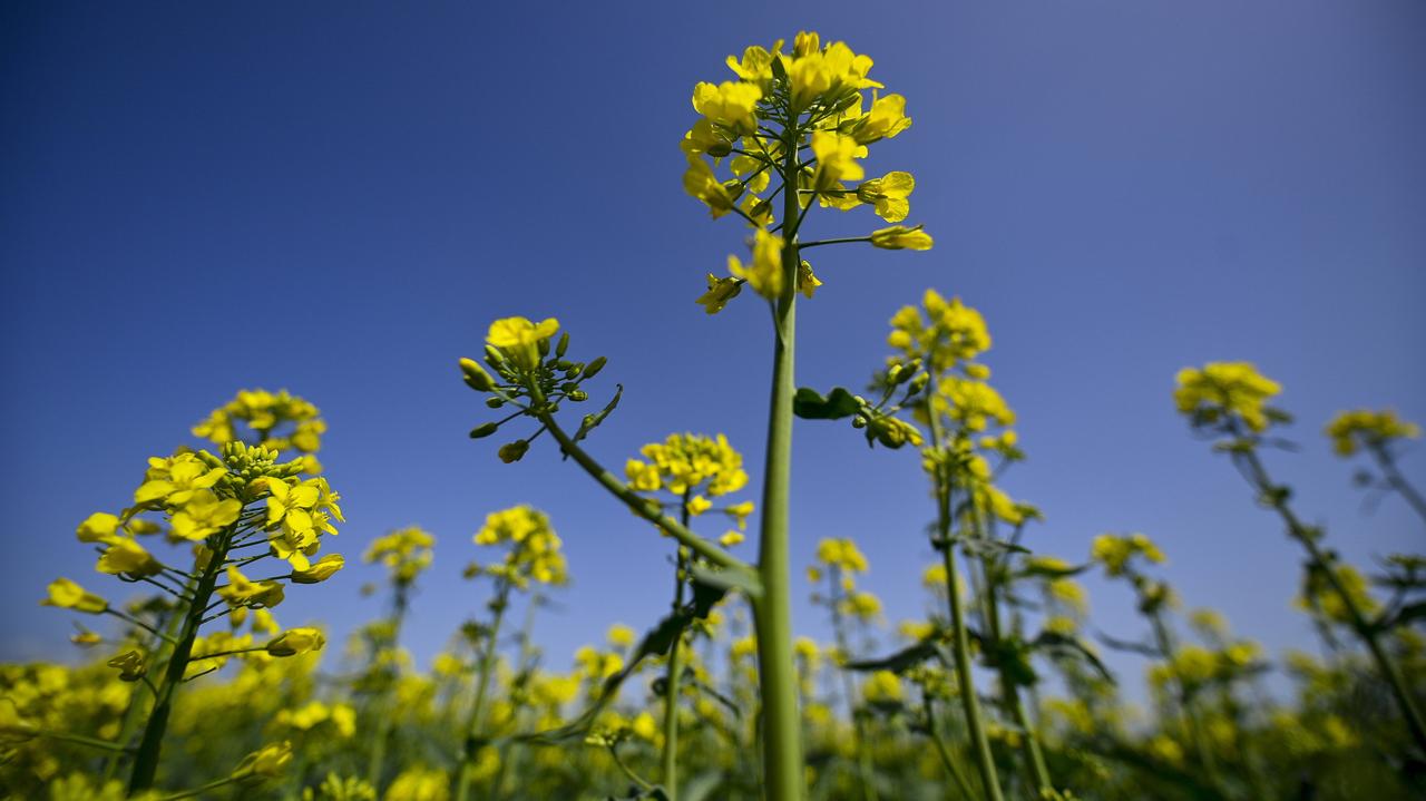 Chłodno wam? Już niedługo temperatura znów przekroczy 20 stopni