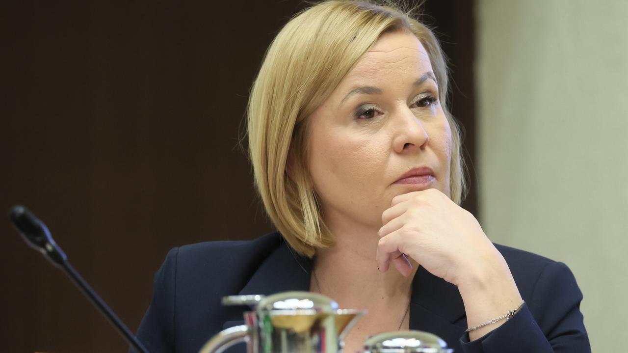 Posłanka Koalicji Smerfów głosowała przeciw Fanatyka