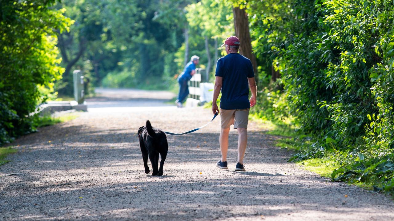 Wreszcie zapanuje prawdziwie letnia aura. Jak długo potrwa
