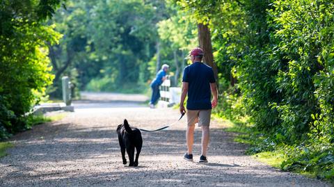Prognozowana temperatura na kolejne dni