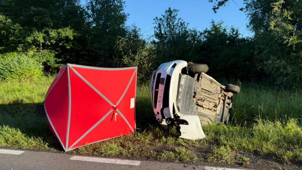 Dzik wbiegł na jezdnię. Auto dachowało, jedna osoba nie żyje