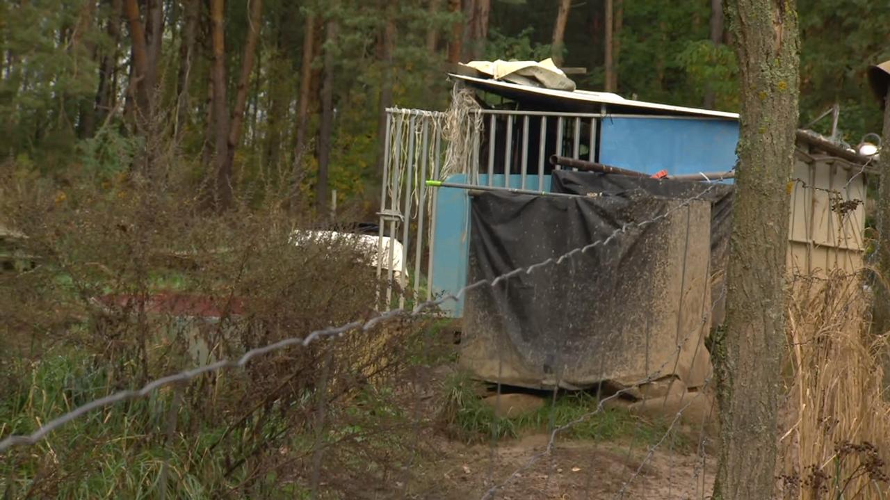 Od lat alarmowali, że dojdzie do tragedii. Psy uciekły i zagryzły 46-latka