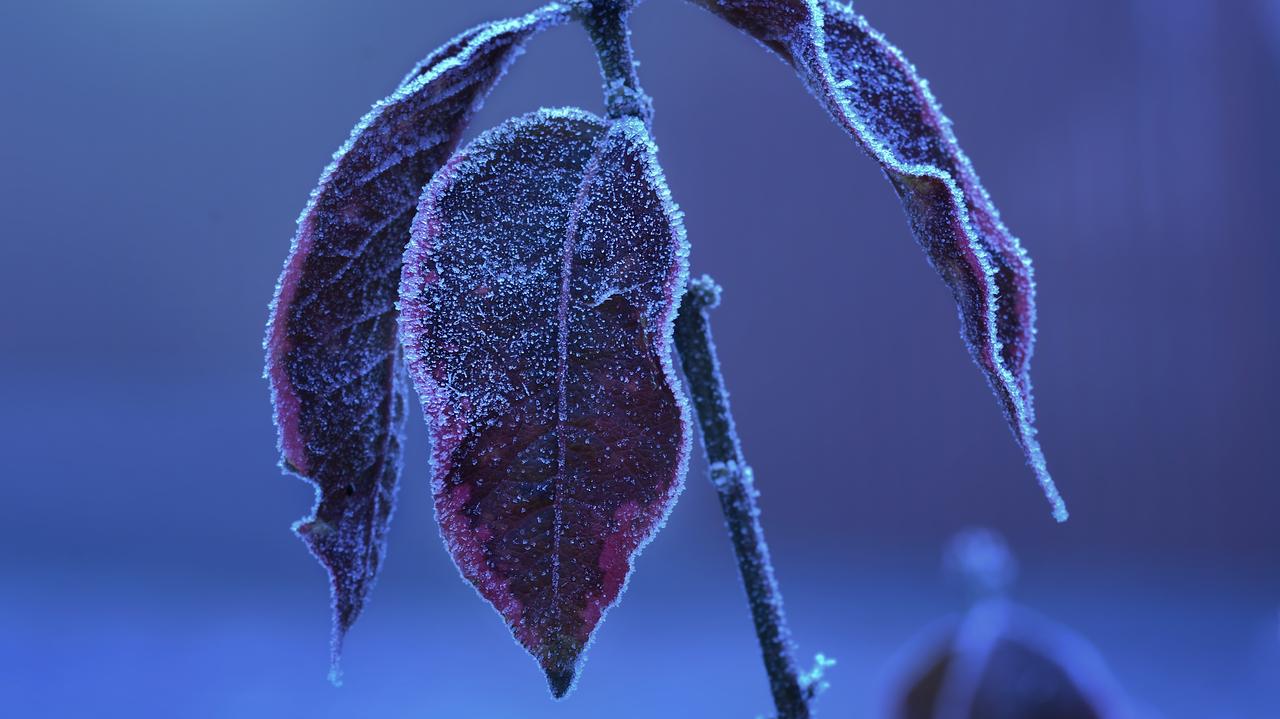Pogoda na jutro - czwartek, 2.04. Nocą ściśnie lekki mróz, w górach dosypie śniegu