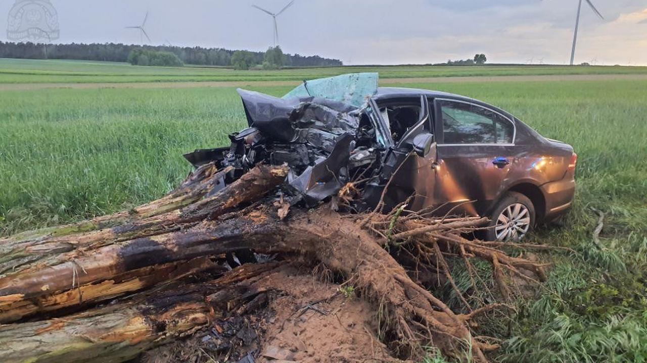 Przód samochodu zmiażdżony, drzewo wyrwane z korzeniami. Nie żyje 28-latek