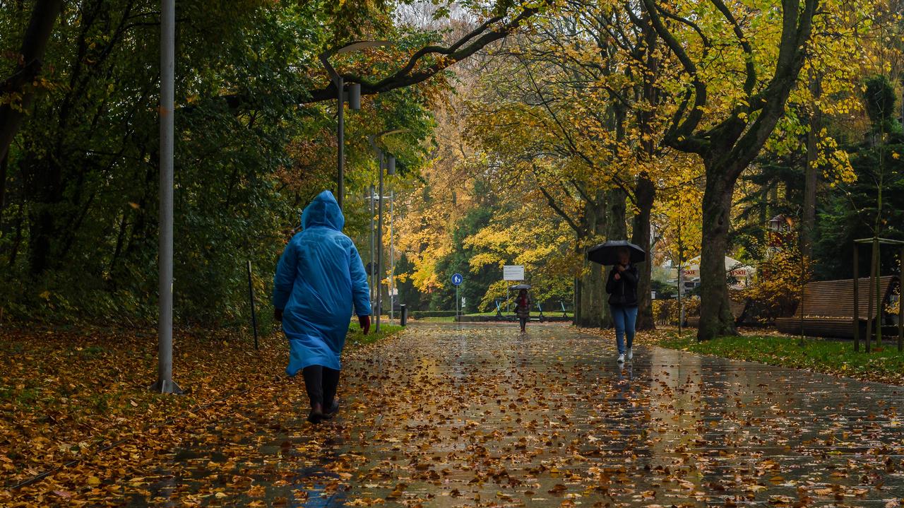 Pogoda na dziś - poniedziałek, 3.11. Parasole przydadzą się prawie wszędzie